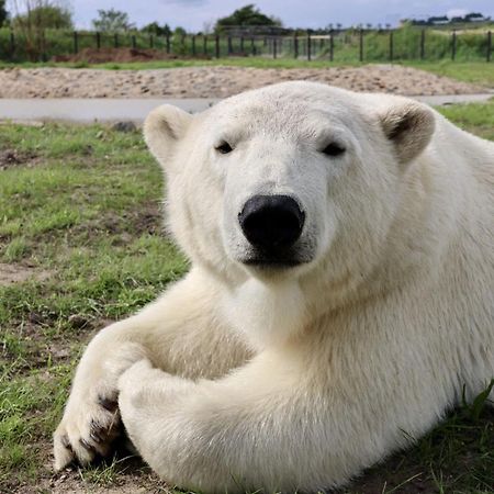 Chic 2 Bed Peak District Cottage Barn Near Alton Towers, Polar Bears, Chatsworth House لييك المظهر الخارجي الصورة