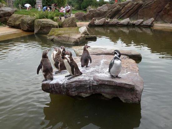 Chic 2 Bed Peak District Cottage Barn Near Alton Towers, Polar Bears, Chatsworth House لييك المظهر الخارجي الصورة