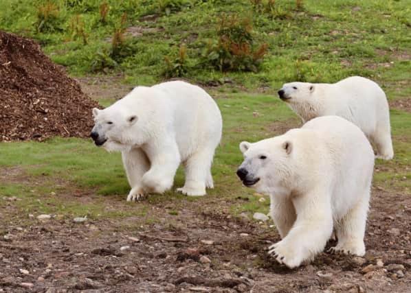 Chic 2 Bed Peak District Cottage Barn Near Alton Towers, Polar Bears, Chatsworth House لييك المظهر الخارجي الصورة