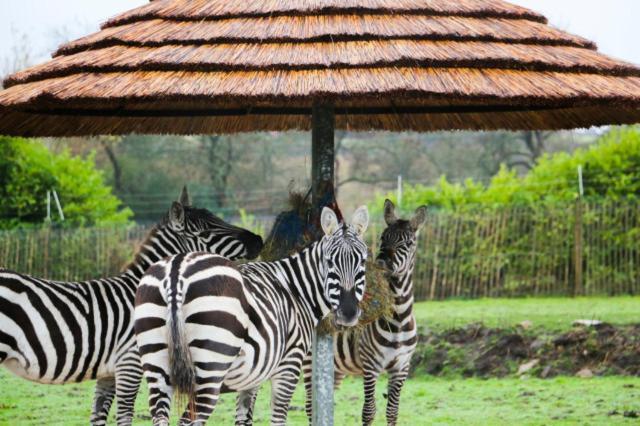 Chic 2 Bed Peak District Cottage Barn Near Alton Towers, Polar Bears, Chatsworth House لييك المظهر الخارجي الصورة