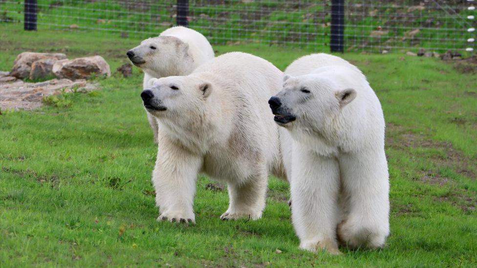 Chic 2 Bed Peak District Cottage Barn Near Alton Towers, Polar Bears, Chatsworth House لييك المظهر الخارجي الصورة