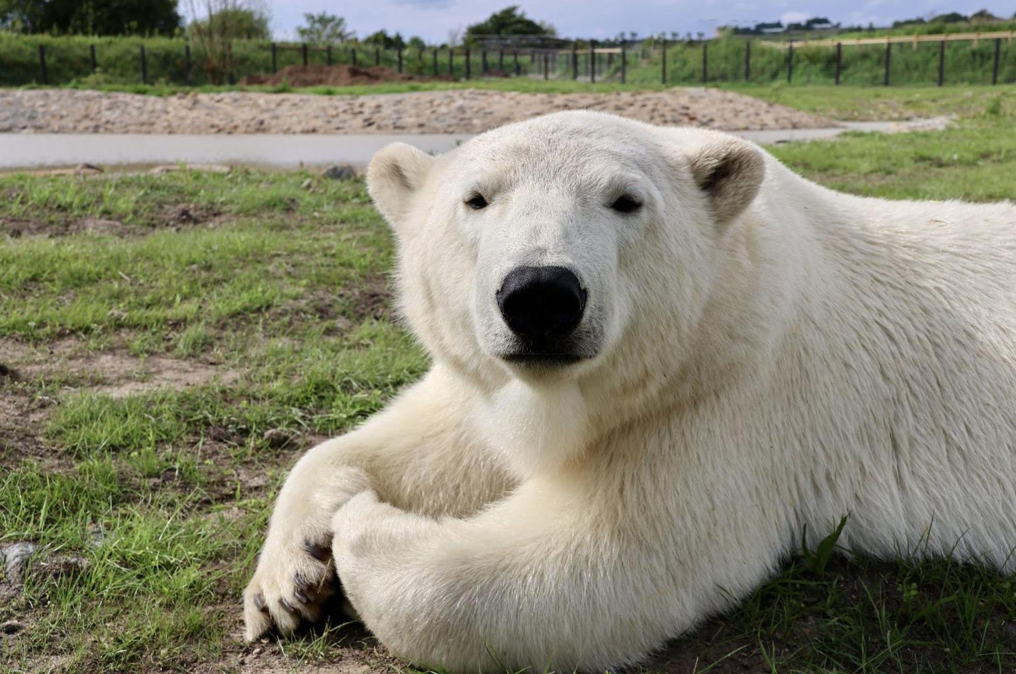Chic 2 Bed Peak District Cottage Barn Near Alton Towers, Polar Bears, Chatsworth House لييك المظهر الخارجي الصورة